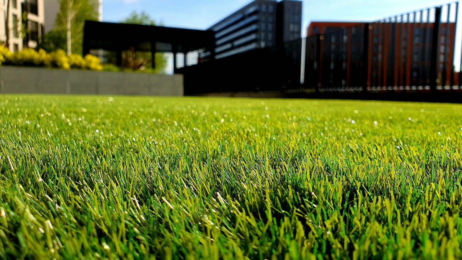 BORELLA landscape project